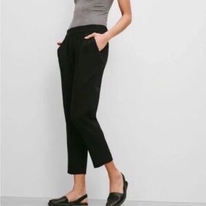 Aritzia Babaton Cohen Pants Crop Darted Faux suede Pockets Black Straight leg 4